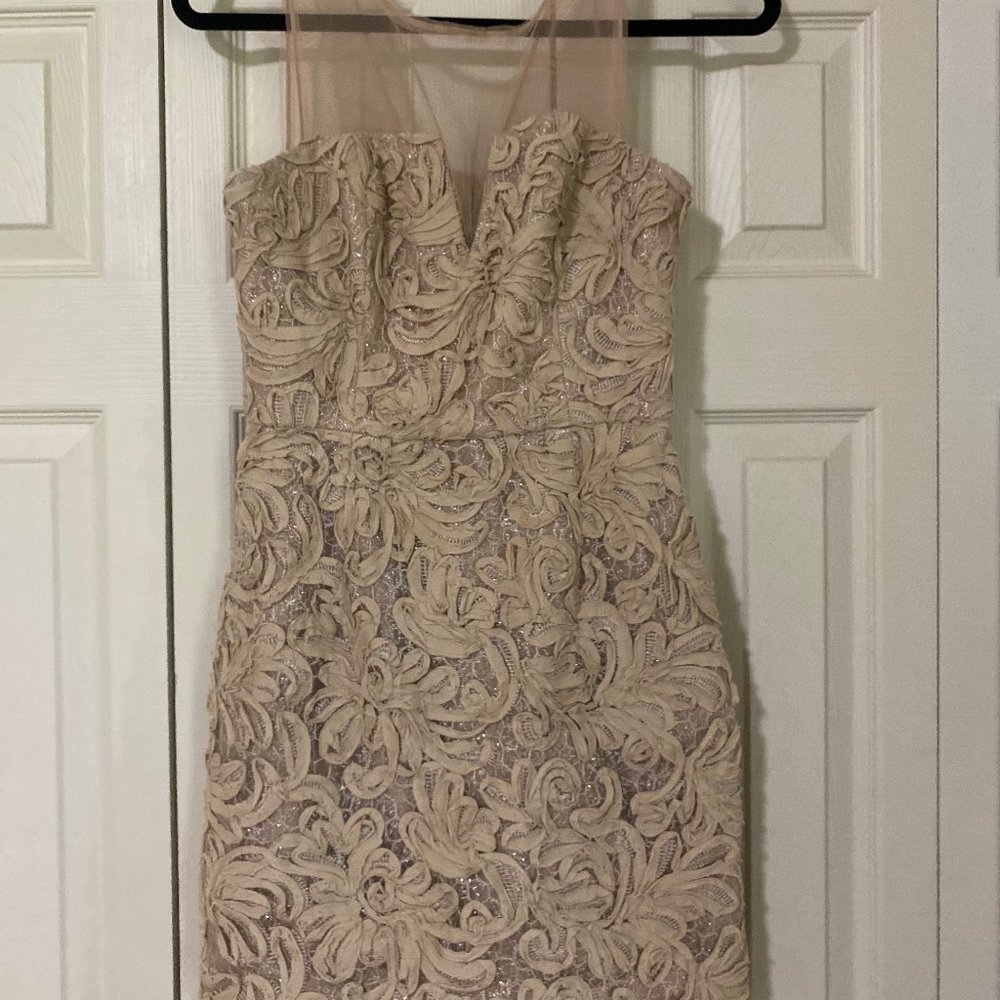 BCBGMAXAZRIA embroidered and lace cocktail dress